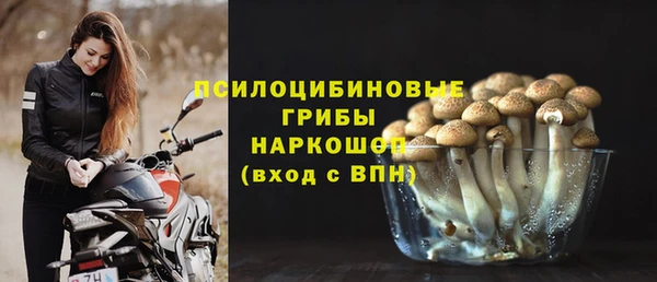 СК Козельск