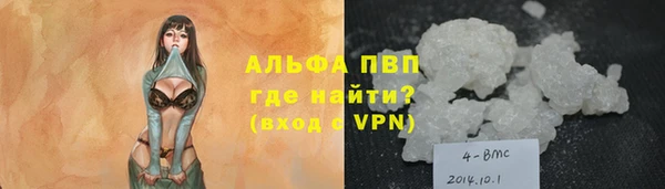 СК Козельск