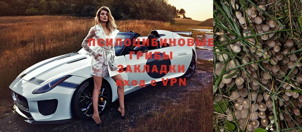 первитин Кодинск